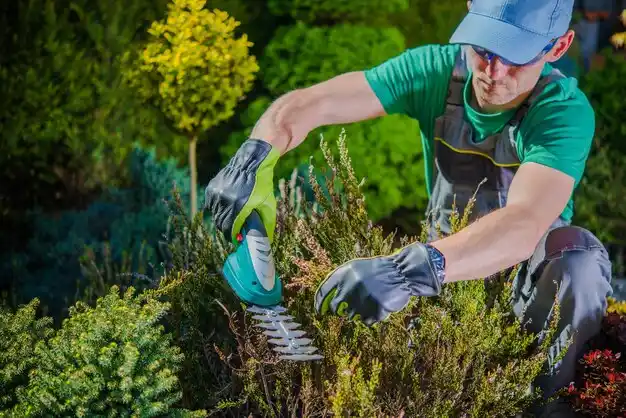 landscaping services South Farmingdale